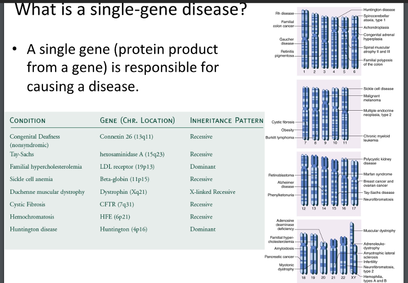 usc-fnp-bridge-course-4-6-single-gene-disease-flashcards-easy-notecards