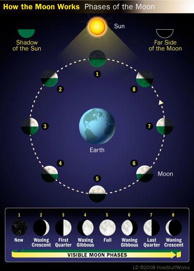 Print Sun-Moon-Earth flashcards | Easy Notecards