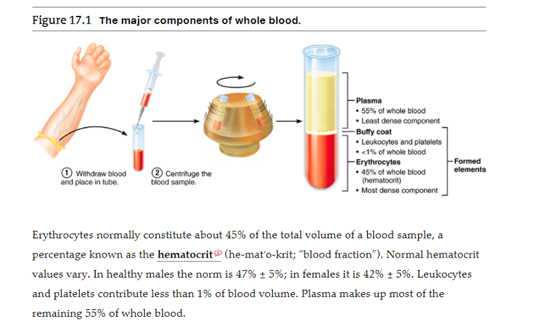 by volume what is the primary component of blood