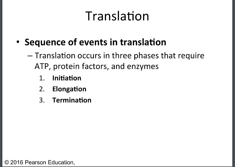 print-usc-bridge-nurs-500-3-5-translation-flashcards-easy-notecards