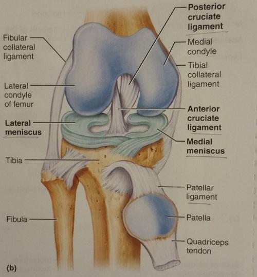 Help for joint pain information