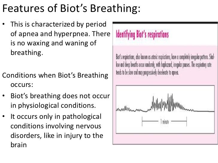 Print Respiratory (exam 1) flashcards Easy Notecards