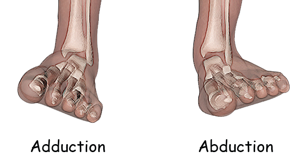 abduction and adduction