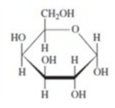 has structure galactose below the shown Flashcards 15:  Carbohydrates Easy Notecards  Chapter