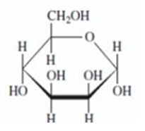 Chapter 15: Carbohydrates Flashcards | Easy Notecards