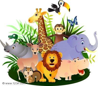 wild animals flashcards easy notecards