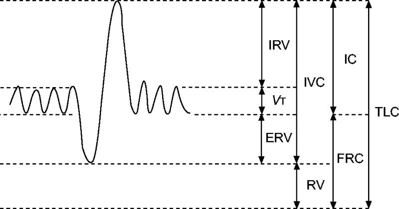 cardiograph dedinition